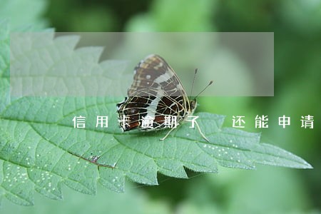 信用卡逾期了 还能申请吗 信用卡逾期了 还能申请吗